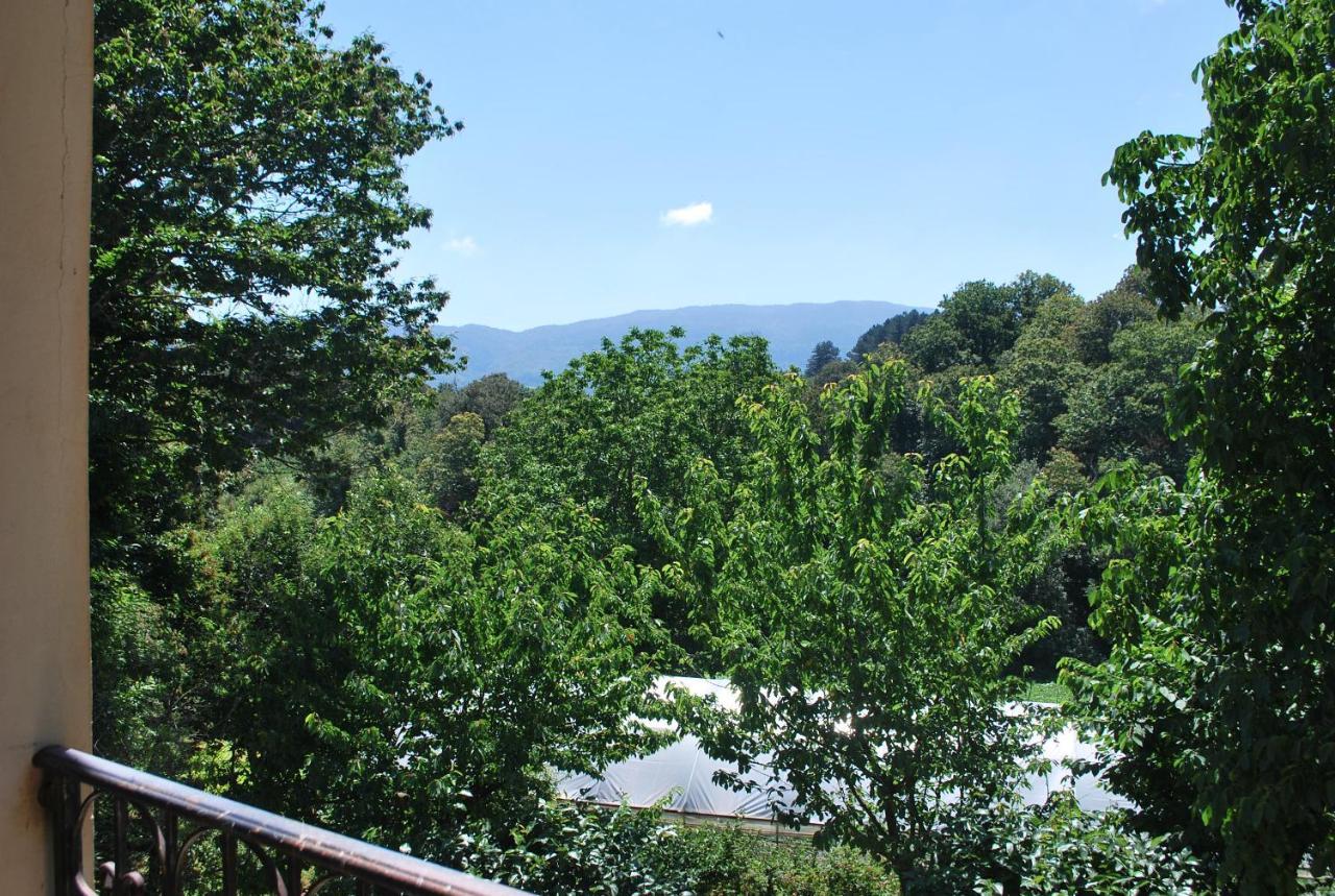 Vila Agriturismo Roseto Serra San Bruno Exteriér fotografie
